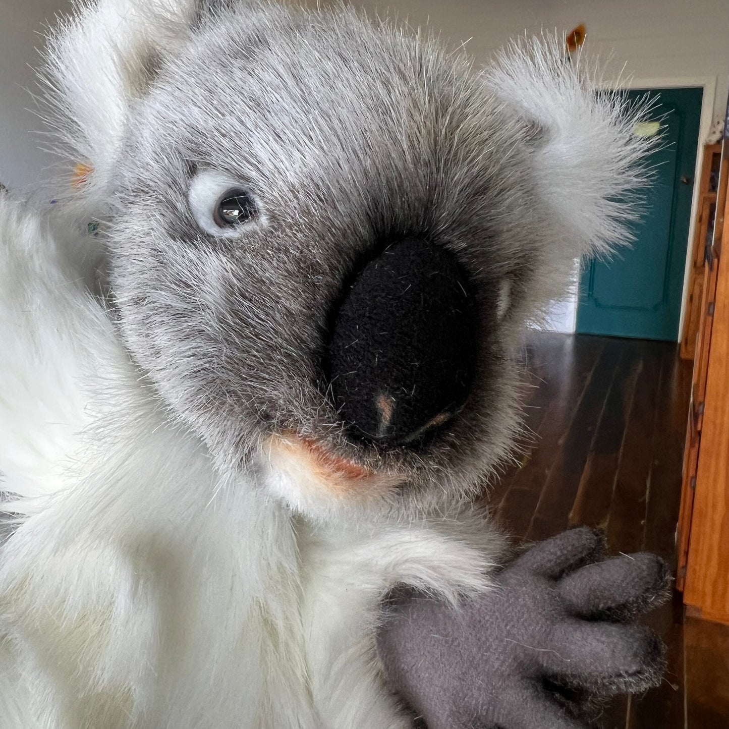 Koala Puppet