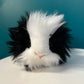 Guinea Pig (black and white)