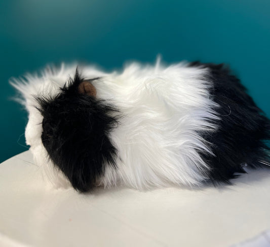 Guinea Pig (black and white)