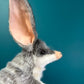 Bilby Puppet