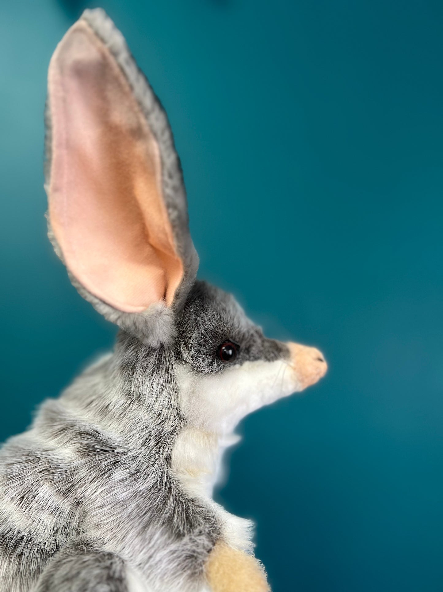 Bilby Puppet