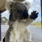 Koala Puppet