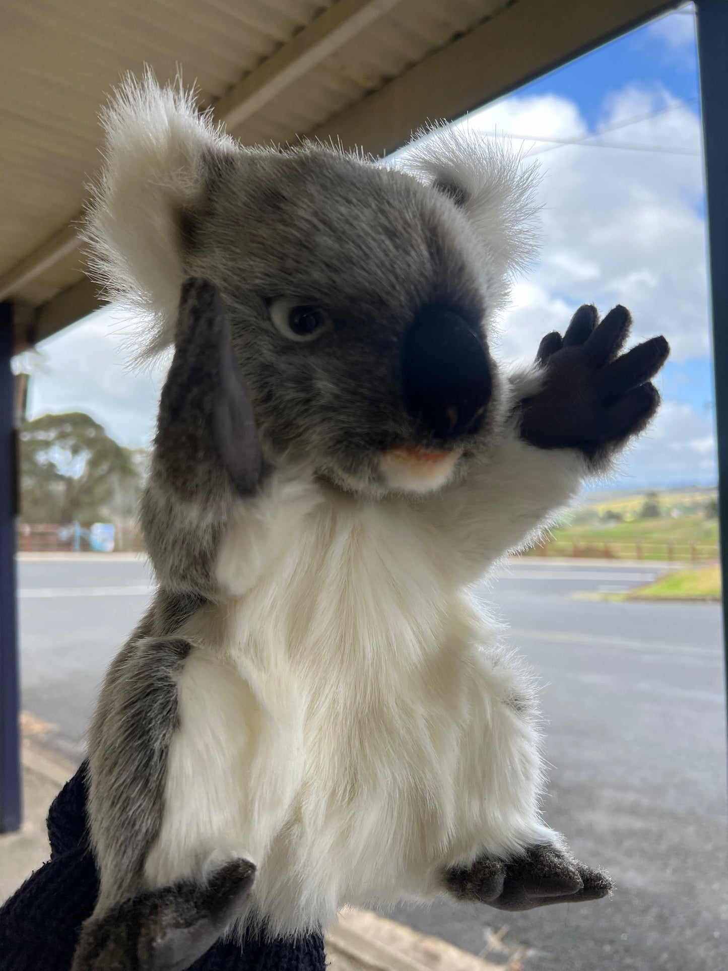 Koala Puppet