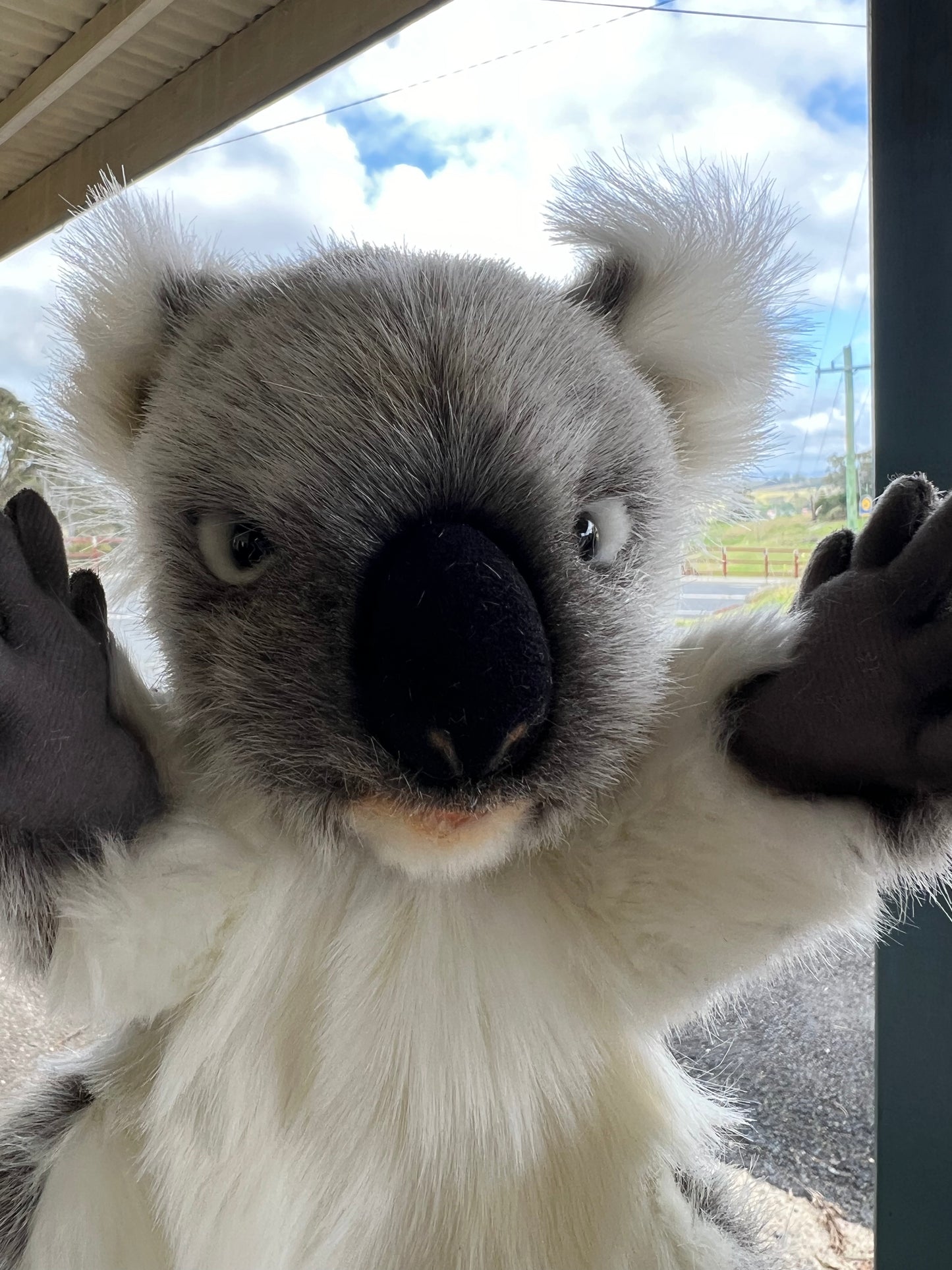 Koala Puppet