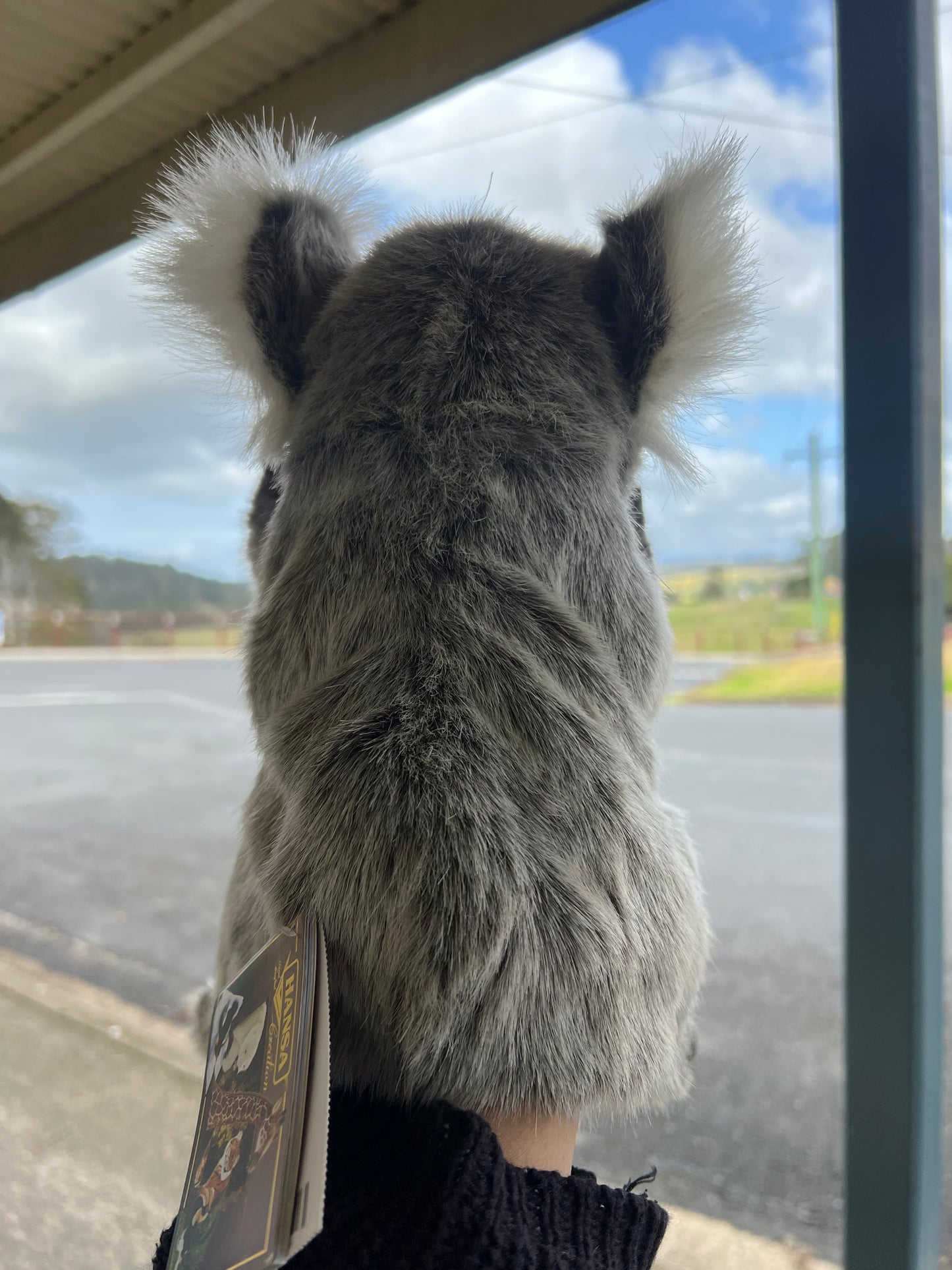 Koala Puppet