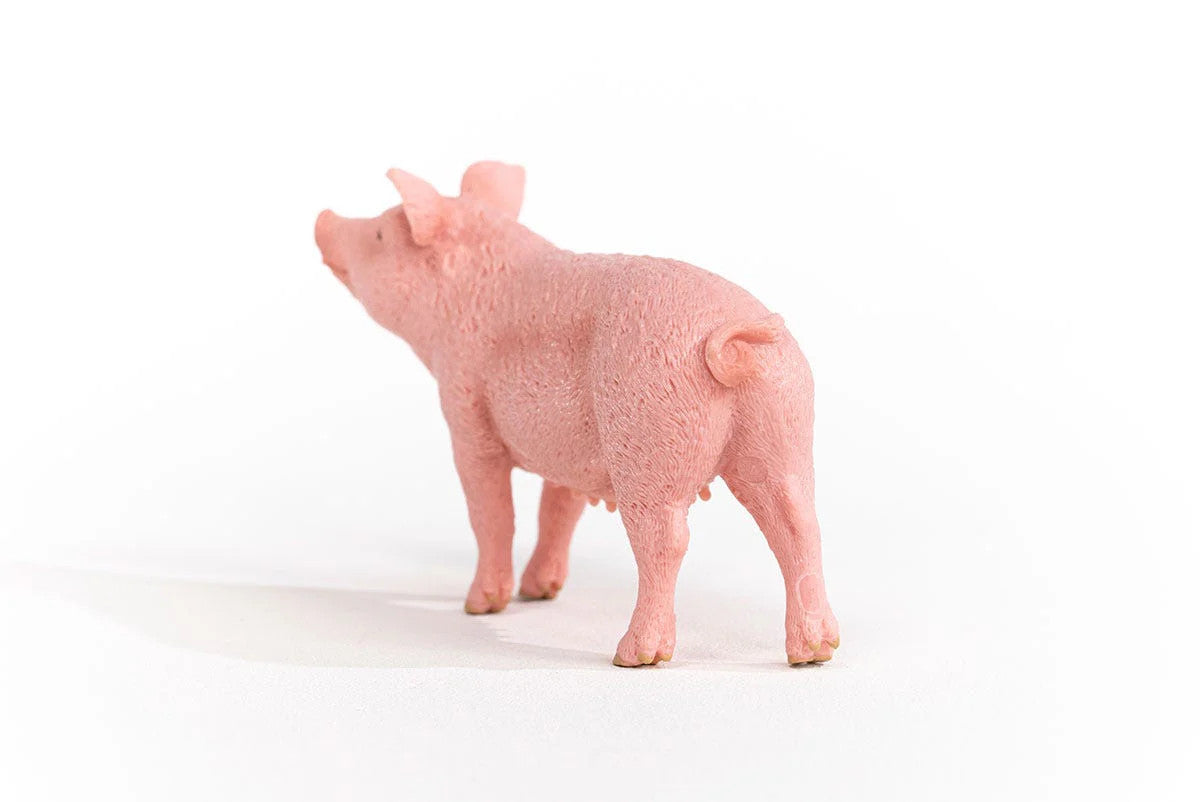 Schleich Pig