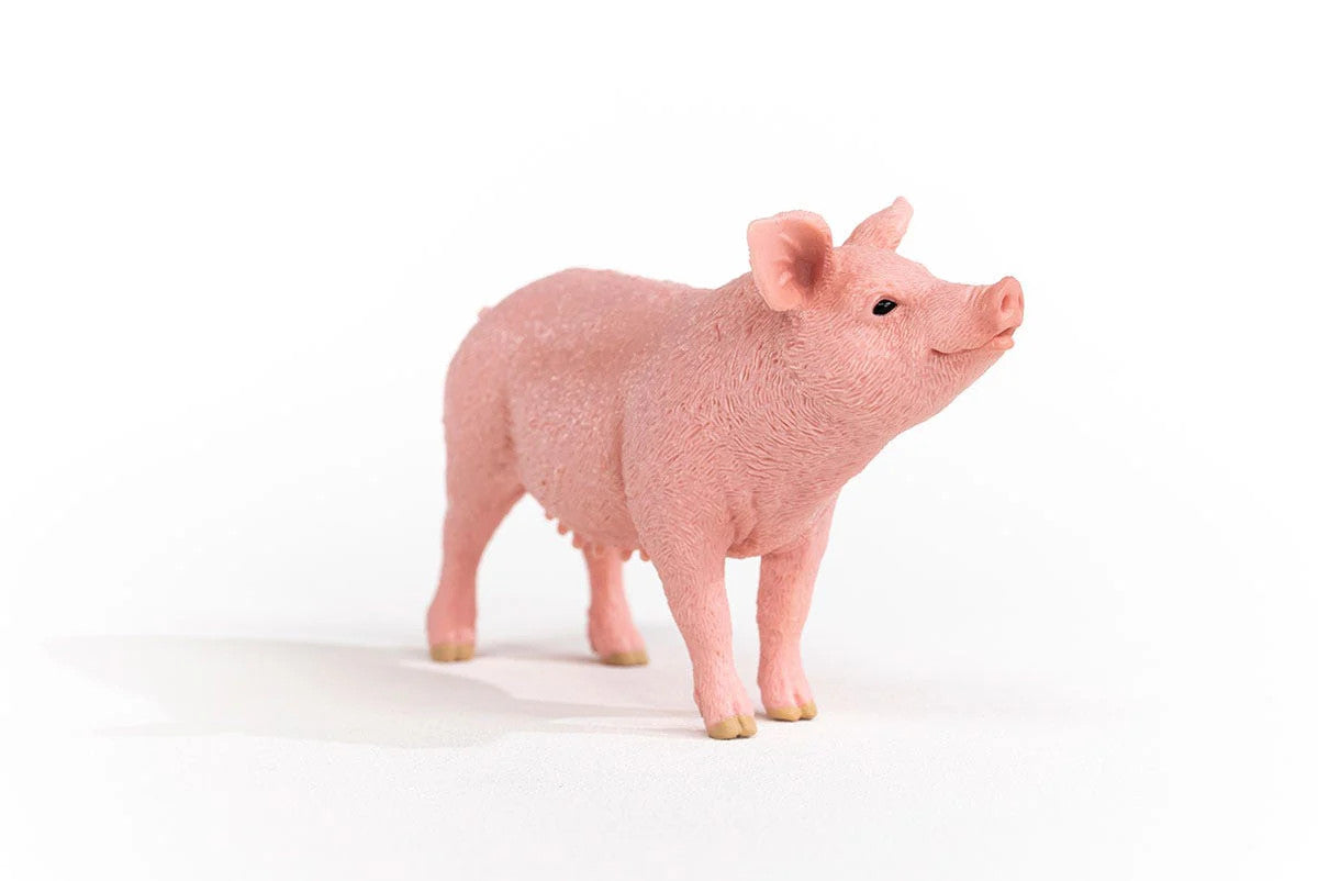 Schleich Pig