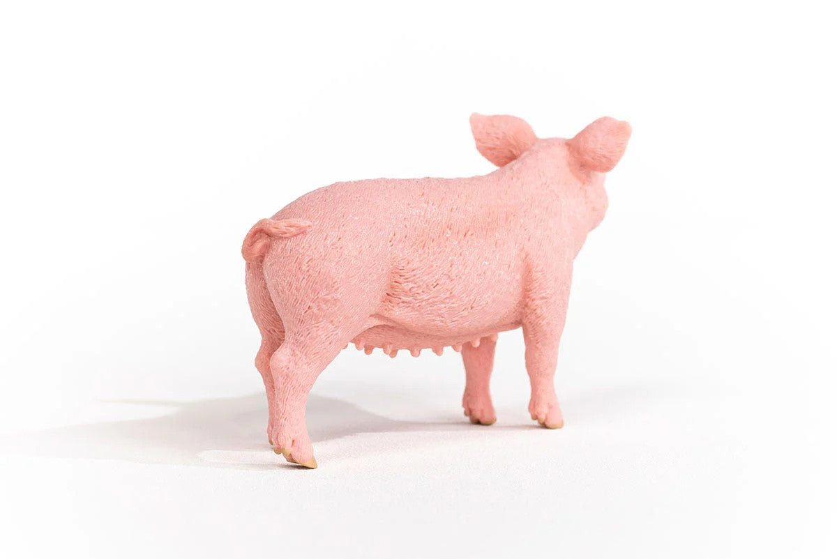 Schleich Pig