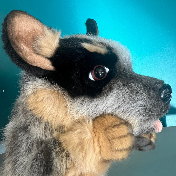 close up face detail of blue heeler puppet