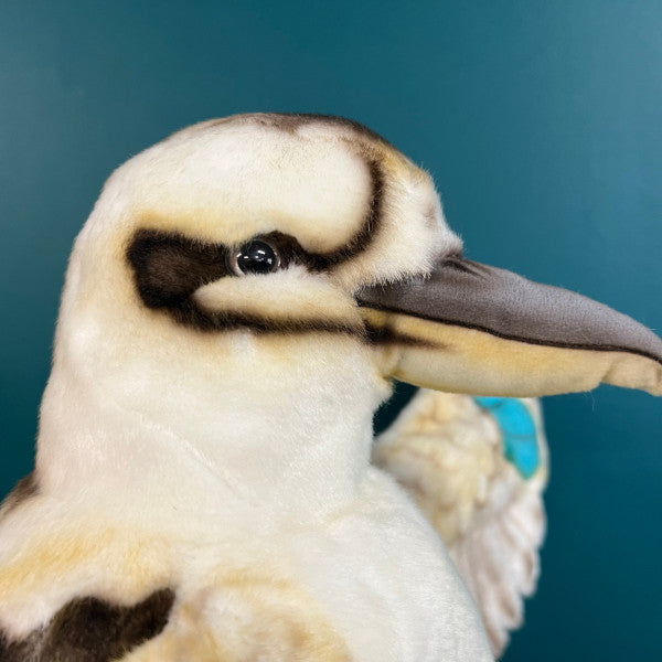 close up of face of kookaburra puppet showing eye, beak and airbrushed detailed markings on the face and head