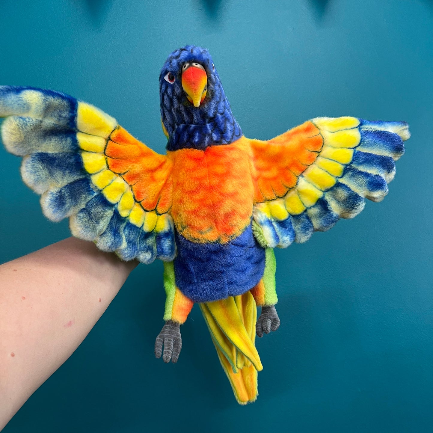 Rainbow Lorikeet Puppet