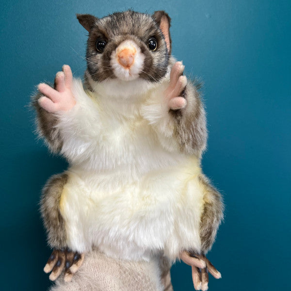 ring tailed possum plush puppet facing camera