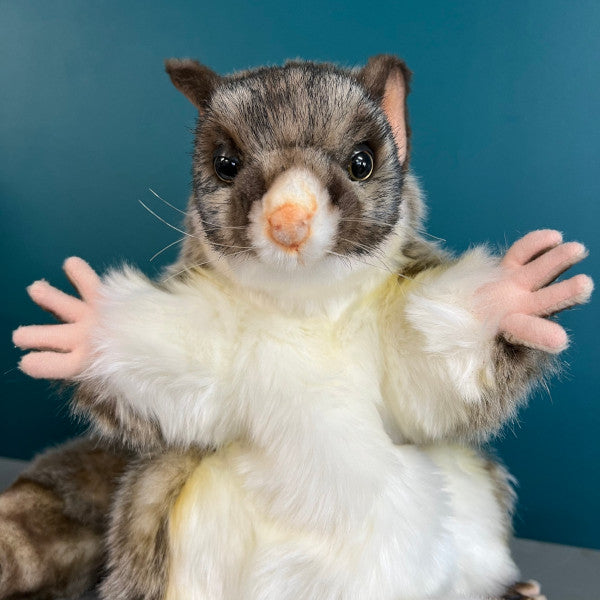 ring tailed possum puppet, close up of body and face with front paws outstretched