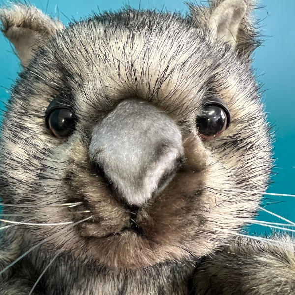 close up of wombat puppet face showing nose, eyes, whiskers and air brished detailing